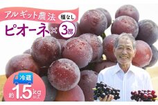 アルギット葡萄 種無し ピオーネ 3房 1.5kg以上 アルギット農法 フルーツ 果物 ぶどう ブドウ 種なしピオーネ ノルウェー産天然海藻 フルーツ 果物 ぶどう ブドウ 限定 高級 風味 有機肥料 皮ごと 冷蔵 農家直送 産地直送 京都 舞鶴 舞鶴市 梅原農園