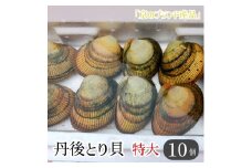 丹後とり貝 特大 サイズ 170～189g 以上 10枚 セット 合計 1.7～1.8kg 以上 新鮮 京都府産 舞鶴 生 殻付き 活け 大型 とりがい 10個 産地直送 産直 お取り寄せ 国産 生食 刺身 炙り 高級食材 クール便 冷蔵