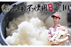 【令和7年度産 新米 先行予約】 棚田米 10kg 精米 栽培期間中農薬不使用 精米 京都 舞鶴 農家直送 コシヒカリ こしひかり 減農薬 低農薬 有機肥料 白米 お米 ご飯 米 棚田