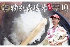【令和7年度産 新米 先行予約】 棚田米 10kg 精米 特別栽培米 7割削減 精米 京都 舞鶴 農家直送 コシヒカリ こしひかり 減農薬 低農薬 白米 お米 ご飯 米 棚田