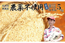 【令和7年度産 新米 先行予約】 棚田米 玄米 5kg 栽培期間中 農薬不使用 農家直送 生産者直送 コシヒカリ こしひかり 5キロ 京都産 舞鶴産 京都 お米 米 ごはん ご飯