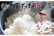 【令和7年度産 新米 先行予約】 棚田米 5kg 精米 栽培期間中農薬不使用 精米 京都 舞鶴 農家直送 コシヒカリ こしひかり 減農薬 低農薬 有機肥料 白米 お米 ご飯 米 棚田