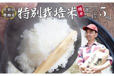 【令和7年度産 新米 先行予約】 棚田米 5kg 精米 特別栽培米 7割削減 精米 京都 舞鶴 農家直送 コシヒカリ こしひかり 減農薬 低農薬 白米 お米 ご飯 米 棚田