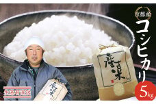 【令和6年度産】コシヒカリ 5kg 精米 白米 京都産 舞鶴産 舞鶴コシヒカリ 舞鶴米 お米 米 ごはん ご飯 ふっくら もちもち 甘味 旨味 米作り 田植え 自然 R6 こしひかり 農家 農業 農家直送 生産者直送 京都 舞鶴 舞鶴市 霜尾農園