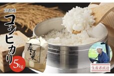 【令和7年度産 新米】コシヒカリ 5kg 精米 白米 京都産 舞鶴産 舞鶴コシヒカリ 舞鶴米 お米 米 ごはん ご飯 ふっくら もちもち 甘味 旨味 米作り 田植え 自然 R7 こしひかり 農家 農業 農家直送 生産者直送 京都 舞鶴 舞鶴市 霜尾農園