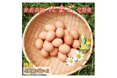 【定期便】赤岩高原たまご 40個×6か月 240個（特選） 卵 タマゴ M～L サイズ ： ６回 半年 毎月 定期便 特選 たまご 産地直送 京都 舞鶴
