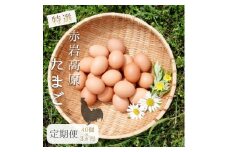 【定期便】赤岩高原たまご 40個×3か月 120個（特選） 7.2kg以上 卵 タマゴ M～L サイズ ： 3回 毎月 定期便 特選 たまご 産地直送 京都 舞鶴
