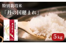 特別栽培米 コシヒカリ 丹の国穂まれ 精米 5kg 令和6年度産 京都府 中丹 舞鶴 綾部 福知山 こしひかり お米 白米 ご飯 米 主食 白ご飯 農協 JA