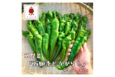 【2025年夏発送】京野菜 「万願寺とうがらし」 からくない！肉厚甘い 逸品 箱入り 1kg 2～4人用 伝統野菜 とうがらし 万願寺 ピーマン 大型 野菜 夏野菜 農家直送 揚げ物 炒め物 煮物 レシピ付き京都 舞鶴
