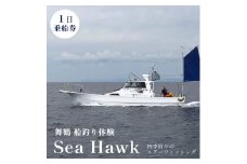 舞鶴で船釣り体験！ シーホーク １日乗船券 １名様 ルアーフィッシング 関西 日本海 京都府 舞鶴市 海 アウトドア 釣り フィッシング 船 釣り船 船釣り 体験