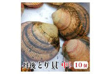 舞鶴産丹後とり貝 中 10個入 131～150g/個 合計1.3kg～1.5kg 新鮮 京都府産 舞鶴 生 殻付き 活け 大型 とりがい 10個 産地直送 産直 お取り寄せ 国産 生食 刺身 炙り 高級食材 クール便 冷蔵 とり貝 とりがい 鳥貝 高級貝 とり貝 とりがい 鳥貝 高級貝 とり貝 とりがい 鳥貝 高級貝 とり貝 とりがい 鳥貝 高級貝 とり貝 とりがい 鳥貝 高級貝