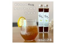 クラフトコーラ 夏 みかん 蜜柑 200ml 2本 セット 詰め合わせ 計 400ml 白砂糖 不使用 シロップ 生姜 しょうが レモン スパイス かき氷