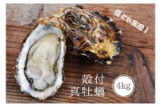 【2025年2月以降発送】殻付き 養殖 真牡蠣 4kg 加熱用 朝どれ直送！先行予約 岡山八朗兵衛商店 : 二枚貝 牡蠣 かき オイスター 殻付き牡蠣 生牡蠣 活牡蠣 カキ 海鮮 魚介 海産物 海の幸 漁師直送 ナイフ付き
