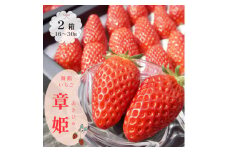 【1月中旬から3月中旬発送】 いちご 章姫２箱 いちご 苺 イチゴ 果物 フルーツ 箱入り 完熟 真っ赤 おいしい 甘い 評判 農家直送 産地直送 鮮度 抜群 好評 人気 ハウス栽培 あきひめ 舞鶴 京都 嵯峨根農園