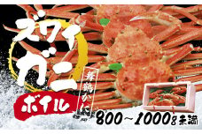 蟹 かに 松葉かに ズワイガニ ボイル 800g ~ 999g 緑タグ 舞鶴かに 国産 ブランド お鍋 お歳暮 贈答 プレゼント 高級 カニ ずわい蟹 松葉がに 茹で蟹 ゆで 年末 年始 新年 爪 脚 蟹爪 蟹脚 カニツメ かに味噌 かにみそ 蟹身 カニ身 産地直送 京都 舞鶴