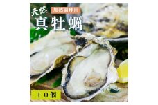 天然 活 真牡蠣 10個入 （加熱調理用） カキ 牡蛎 かき オイスター まがき 牡蠣 天然牡蠣 天然物 シーフード 日本海 舞鶴湾 二枚貝 活貝 新鮮 直送 海鮮 魚介 海産物 カキフライ 酒蒸し 京都 舞鶴 牡蠣小屋 美味星