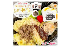 愛犬用 お弁当 セット 詰め合わせ M サイズ スープ おやつ 3袋 中型犬 セット 詰め合わせ 無添加 ご飯 ドッグフード ペット エサ 餌 お好み焼き 鶏ハンバーグ チャーハン 牛タン そぼろ 卵焼き 季節 野菜 京都 舞鶴