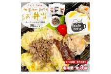 定期便 3回 愛犬用 無添加 お弁当 セット Mサイズ 詰め合わせ スープ おやつ 3袋 中型犬 ご飯 ドックフード ペット ドッグ エサ 餌 手作り 京都 舞鶴 犬