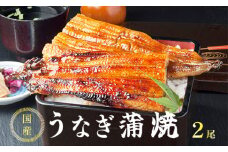 【土用丑の日お届け】国産 うなぎ 蒲焼 2尾 特製ダレ付 冷凍