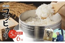 【毎月定期便】 【令和7年度産 新米】 コシヒカリ 5kg×6回 30kg 102,000円 精米 白米 お米 おこめ ごはん こしひかり ご飯 白飯 京都産 舞鶴産 農家直送 選べる間隔 お米の定期便