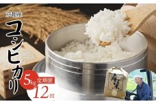 【毎月定期便】 【令和7年度産 新米】 コシヒカリ 5kg×12回 60kg 204,000円  精米 白米 お米 おこめ ごはん こしひかり ご飯 白飯 京都産 舞鶴産 農家直送 選べる間隔 お米の定期便