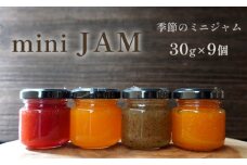果物 ミニ ジャム セット 詰め合わせ 270g 4種 前後 30g 9瓶 いちご 苺 みかん 蜜柑 きんかん 金柑 キウイ フルーツ ジャム パン トースト 国産 贈り物 ギフト プレゼント お歳暮 お歳暮 舞鶴