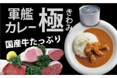 京都舞鶴 軍艦カレー極 4缶 210g/缶 CAN BRICK 長期保存 備蓄 災害 キャンプ 保存食 缶詰 カレー缶 レトルト缶 カレー カレーライス 牛カレー ビーフカレー 缶 箱入り 非常食