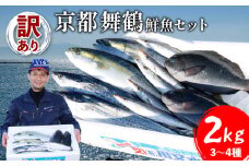訳あり 鮮魚 詰め合わせ セット 3～4種 約2kg 2キロ 旬 厳選 朝 獲れ 鮮度 抜群 冷蔵 送料無料 あじ サバ ススキ つばす 鯵 鯖 鰯 サゴシ グレ 鯛 カマス 赤カレイ いわし レンコダイ トビウオ