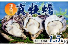 牡蠣 殻付き 1.5kg 前後 10個 ～ 15個 海鮮 魚介 加熱 調理用 貝 海産物 シーフード カキ オイスター 生かき カキフライ 牡蠣 オイスター 加熱調理用 酒蒸し 冬 日本海 育成 養殖 京都 舞鶴