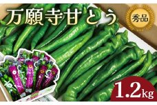 【2025年夏発送分】 万願寺甘とう 化粧箱入 秀品 1.2kg 野菜 万願寺 万願寺とうがらし 甘唐辛子 甘とう 辛くない 夏野菜 緑黄色野菜 伝統野菜 地場野菜 地物 農協直送 京野菜 特産品 詰め合わせ ギフト 旬の野菜 京都産 舞鶴産 京都 舞鶴 舞鶴市JA
