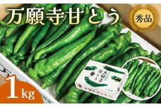 【2025年夏発送分】万願寺甘とう 化粧箱入 秀品 1kg 選べる容量 野菜 夏野菜 旬 地場産 地場野菜 地元野菜 発祥 伝統 京野菜 伝統野菜 万願寺とうがらし