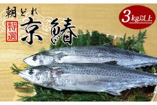【12月から3月のみ発送】特選 京鰆（3kg以上）