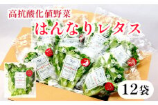 みらい乃野菜 はんなりレタス 12袋 720g