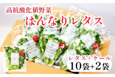 みらい乃野菜 はんなりレタス 10袋 + おケールハン 2袋 12袋 720g