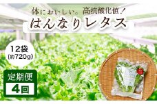 【 定期便 】 みらい乃野菜 はんなりレタス 12袋 720g 4回 40,000円