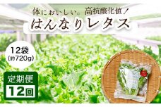 【 定期便 】 みらい乃野菜 はんなりレタス 12袋 720g 12回 120,000円
