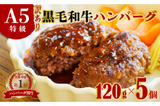 訳あり A5黒毛和牛 ハンバーグ 120g×5個
