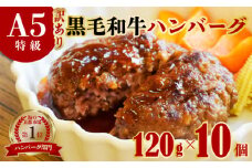訳あり A5黒毛和牛 ハンバーグ 120g×10個
