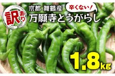 【5月中旬～11月下旬発送】 【訳あり】 万願寺 とうがらし 1.8kg ( 900g × 2箱 ) 辛くない 美味しい おいしい 肉厚 甘い 旬 採れたて 箱入り 伝統野菜 バーベキュー BBQ 野菜 夏野菜 農家 産地 直送 揚げ物 炒め物 煮物 万願寺とうがらし 唐辛子 規格外 京都 舞鶴
