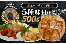 【訳あり】 味付け肉 5種類 セット 500g 特製つけだれ 味付け肉 漬け込み肉 お手軽焼肉 今夜の一品 焼くだけ てっちゃん みそ味 とりもも 塩だれ味 ミノ