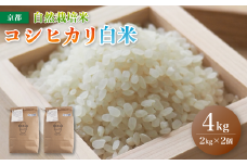 【令和6年度産】 自然栽培米 こしひかり 4kg （2kg×2） 白米