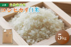 【令和6年度産】 自然栽培米 こしひかり 5kg 白米
