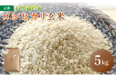 【令和6年度産】自然栽培米 こしひかり 5kg 玄米