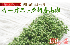 【2025年初夏発送】 有機 JAS 認定 朝倉山椒 300g （150g×2） ： 先行予約 数量限定 京都 舞鶴 山椒 実山椒 生 生鮮 新鮮 採れたて 農家直送 産地直送 佃煮 ちりめん山椒 オーガニック 有機栽培 山椒の実 スパイス 香辛料