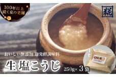 塩麹 250g×3袋 750g ： 塩こうじ 塩糀 こうじ 糀 麹 万能調味料 調味料 発酵 食品添加物 無添加 冷蔵 京都府 舞鶴市 国産 大阪屋こうじ店 京 老舗 京都 舞鶴