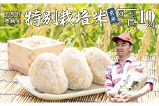 【令和7年度産 新米 先行予約】 棚田米 玄米 10kg 特別栽培米 7割削減 農家直送 生産者直送 コシヒカリ こしひかり 10キロ 京都産 舞鶴産 京都 お米 米 ごはん ご飯