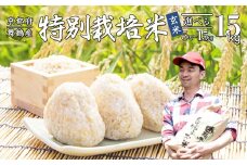 【令和7年度産 新米 先行予約】 棚田米 玄米 15kg 特別栽培米 7割削減 農家直送 生産者直送 コシヒカリ こしひかり 15キロ 京都産 舞鶴産 京都 お米 米 ごはん ご飯