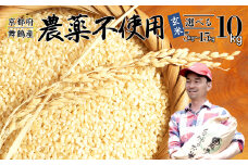 【令和7年度産 新米 先行予約】 棚田米 玄米 10kg 栽培期間中 農薬不使用 農家直送 生産者直送 コシヒカリ こしひかり 10キロ 京都産 舞鶴産 京都 お米 米 ごはん ご飯