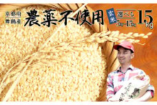 【令和7年度産 新米 先行予約】 棚田米 玄米 15kg 栽培期間中 農薬不使用 農家直送 生産者直送 コシヒカリ こしひかり 15キロ 京都産 舞鶴産 京都 お米 米 ごはん ご飯