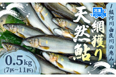 天然鮎 網獲り 冷凍 約0.5kg（約7匹～11匹）【 由良川の網獲り 由良川漁協 冷凍あゆ 冷凍鮎 高鮮度 冷凍 あゆ 鮎 魚 さかな 舞鶴 京都 】